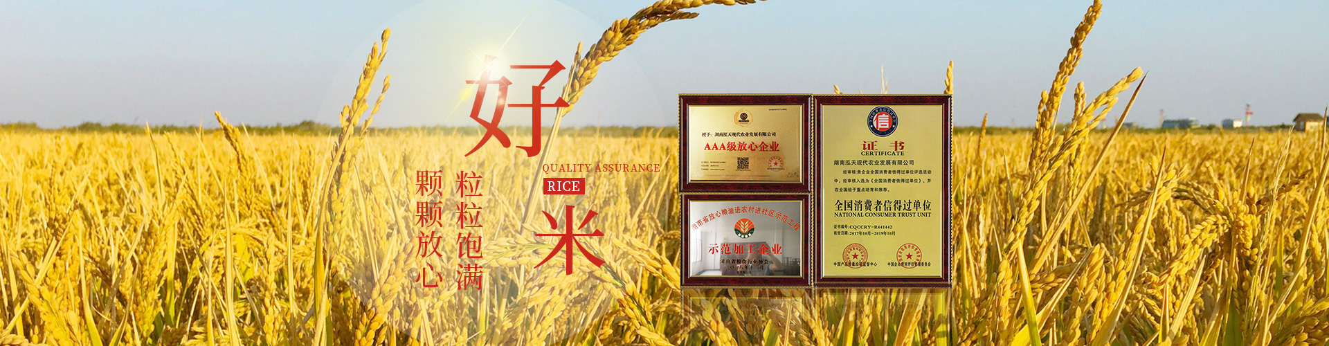 湖南泓天現(xiàn)代農(nóng)業(yè)發(fā)展有限公司